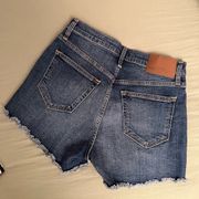 J. Crew Jean Shorts NWT