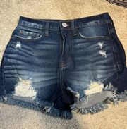 Far Wash Denim Shorts