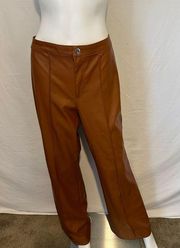 Wild Fable Faux Brown Leather Pants Size -12