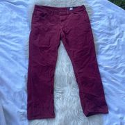 VINEYARD Vines Dark Pink Velvet Velour Jeans