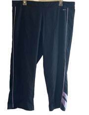 NIKE Black Cropped Track Pants w/ Lavender Accent Stripes