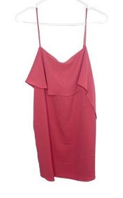 Naked Zebra berry pink slip dress size large NWT d