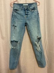 High Rise Willow Root  Jeans