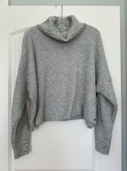 Gray Turtle Neck Sweater