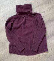 Wool Turtleneck Sweater