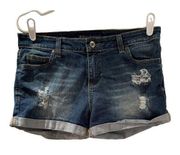 Lauren James Seer and Denim  Preppy Festival Denim Shorts Size 26