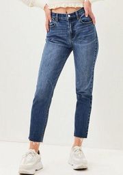 PacSun  Vintage Icon Mom Jeans. Size 27