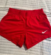 Nike Dry-fit Shorts 