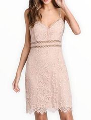 Storia  Blush Pink Lace Trim Dress Cami Straps Sheer Panels size Medium