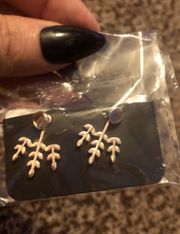 Rose Gold Earrings