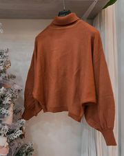 brown sweater with turtle neck 