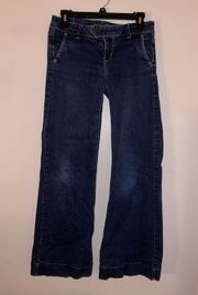 American Eagle Low-Waist Flare Jeans