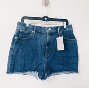 Denim Jean Shorts NWT - Size 31