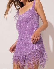 Purple Fringe Dress