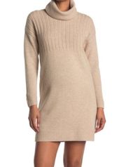 Turtleneck Sweater Dress