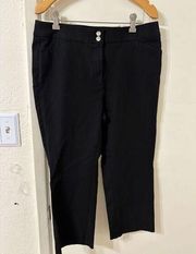 Chico's Womens Secret Stretch Cropped Pants Chicos Size 0.5 US Size 6 NWT