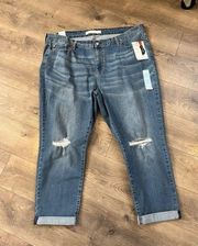 Signature Levi Strauss Simply Stretch Slim Boyfriend Size 24 /W37 New