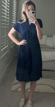 Navy Blue Pleated Dress