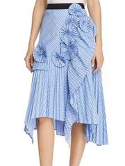 Edericka Striped Pleated Applique Midi Skirt