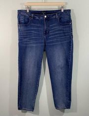 Universal Standard Women's Distressed Blue Seine 27" Mid Rise Skinny Jeans Sz 16