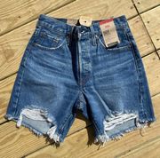 501 Shorts