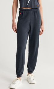 AVIATOR NATION Bolt Sweatpants in Charcoal M