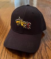 Drexel University Hat