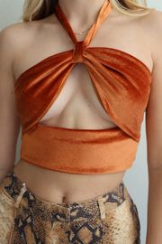 Amazing Lace The Vibes Are Right Velvet Orange Crop Top