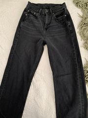 American Eagle Outfitters Straight Jeans