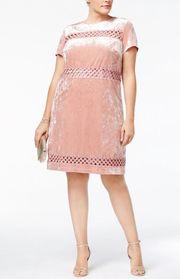 NWT Crushed Velvet Crochet Dress in Blush