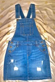 Overall Skirt