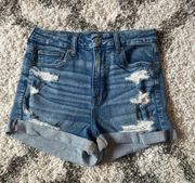 Curvy Hi-Rise Shorts