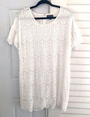 The Limited White Lace Shift Dress Flutter Sleeves