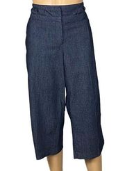 SANDRO lightweight, denim fabric, high-waisted capris pants in size 14. EUC