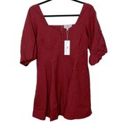 Never A Wallflower Baby Doll Maroon and Navy Mini Dress women’s size XS NWT