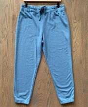 NWT  Vintage Terry Solid Sweatpants in Zero Pigment Blue Size 3 / L