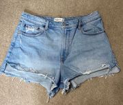 Cutoff Denim Shorts