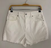 Frayed Denim Shorts NWOT 