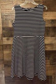 Talbots Navy & White Striped Knit Fit and Flare Dress