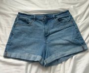 Outfitters Jean Shorts