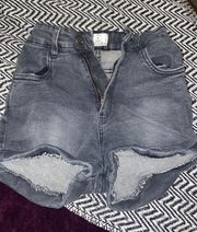 High Waisted Shorts