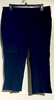 Christopher & Banks navy blue crop pants- size 10 NWT