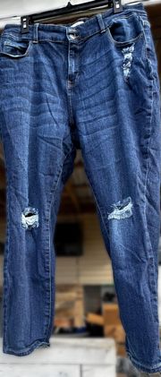 Curvy High-Rise Skinny Jeans