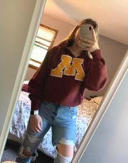 University Of Minnesota Hoodie