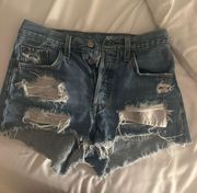 Women’s 501 Denim Shorts