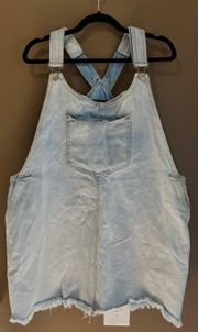 Denim Overall Dress