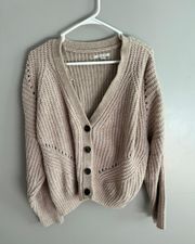 American Eagle cardigan