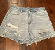 Outfitters Denim Shorts