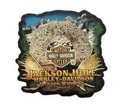 HARLEY DAVIDSON JACKSON HOLE H.D. JACKSON HOLE WY DEALER DEALERSHIP VEST PIN