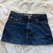 Paris Blues Vintage Micro Mini Denim Mini Skirt